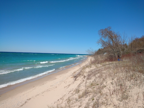 A serene beach scene with gentle waves, sandy shore, and sparse trees under a clear blue sky.