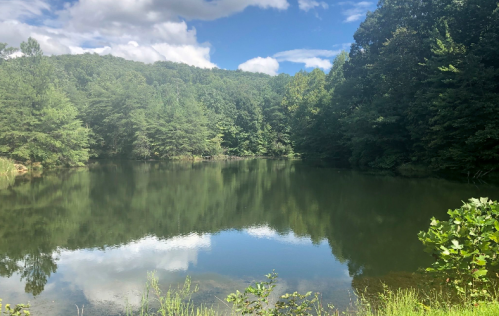 A serene lake surrounded by lush green trees under a blue sky with fluffy clouds, reflecting the landscape.