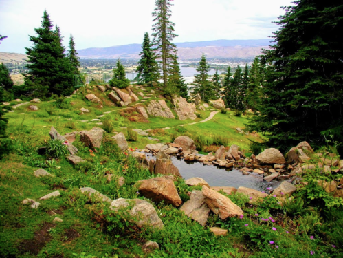 A scenic landscape featuring a pond, rocks, and lush greenery, with trees and mountains in the background.