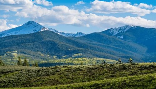 Three mountain bikers ride along a grassy trail with snow-capped mountains and blue skies in the background.