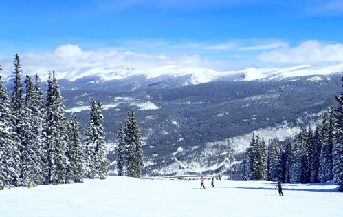Skiers on a snowy slope with tall pine trees and mountains under a clear blue sky.