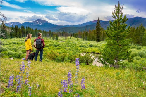A couple stands in a lush green landscape, overlooking a river and mountains under a partly cloudy sky.