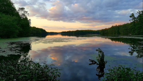 A serene lake at sunset, reflecting colorful clouds and surrounded by lush trees and greenery.