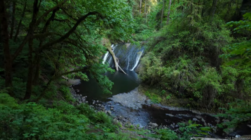 A serene waterfall cascades into a tranquil pool, surrounded by lush green trees and rocky terrain.