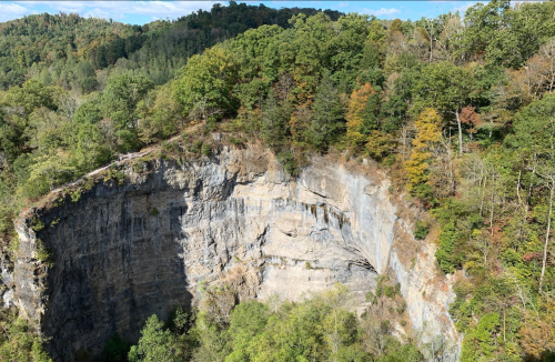 Aerial view of a deep, rocky gorge surrounded by lush green and autumn-colored trees under a clear blue sky.