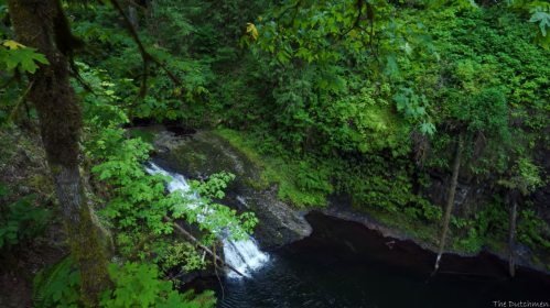 A serene waterfall cascades into a dark pool, surrounded by lush green foliage and rocky terrain.