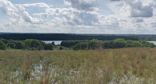 A scenic view of a lush landscape with a lake, surrounded by greenery and a cloudy sky.