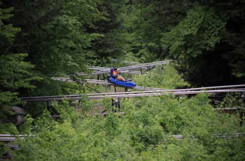 A person rides a blue alpine coaster through a lush green forest, surrounded by metal tracks and trees.