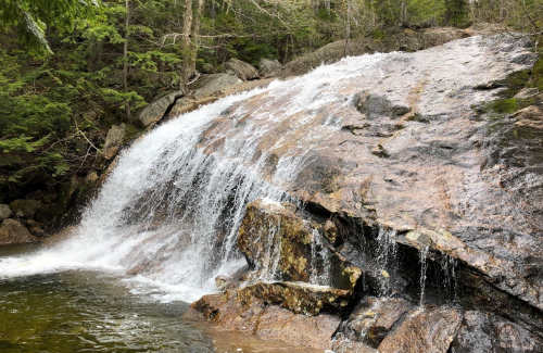 A cascading waterfall flows over rocky terrain, surrounded by lush green trees and a serene pool below.