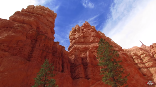A view of towering red rock formations under a blue sky, with green trees in the foreground.
