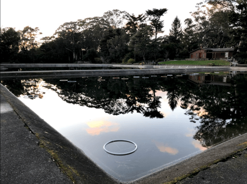 A tranquil pool reflecting trees and a sunset, with a wooden building in the background.