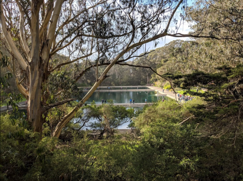 A serene pond surrounded by trees, with people walking along the path in a lush, green landscape.