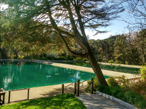 A serene park scene featuring a tranquil pond surrounded by trees and greenery under a clear blue sky.