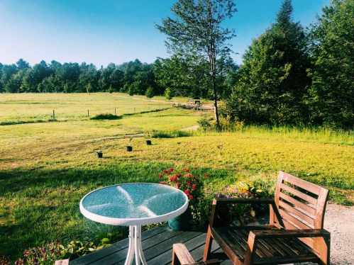 A sunny outdoor scene featuring a wooden chair and glass table overlooking a green field and trees.
