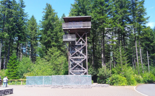 A wooden observation tower surrounded by tall green trees on a sunny day.