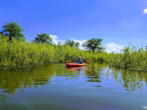 A person kayaking in a calm waterway surrounded by lush greenery and blue skies.