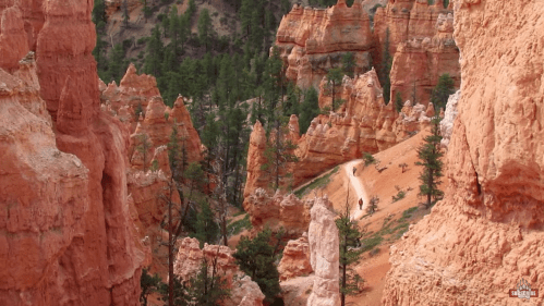 A scenic view of red rock formations and pine trees in a canyon, with hikers on a winding trail.