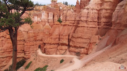 A winding path through vibrant red rock formations in a canyon, surrounded by trees and rugged cliffs.