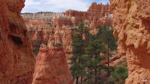 A scenic view of red rock formations and green pine trees in a canyon landscape under a blue sky.