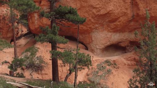 A rocky landscape featuring red cliffs, green pine trees, and a winding path through a natural area.