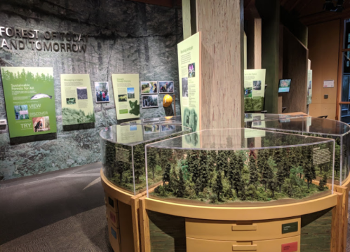 Exhibit showcasing sustainable forests with informational panels and a model of a forest landscape.
