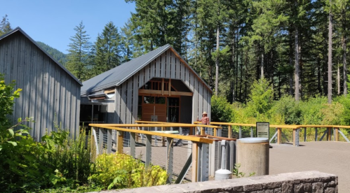 A modern wooden building surrounded by lush greenery and tall trees, featuring a deck and a clear blue sky.