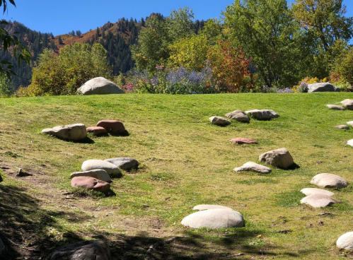 A grassy hillside dotted with various sized rocks, surrounded by trees and colorful foliage under a clear blue sky.