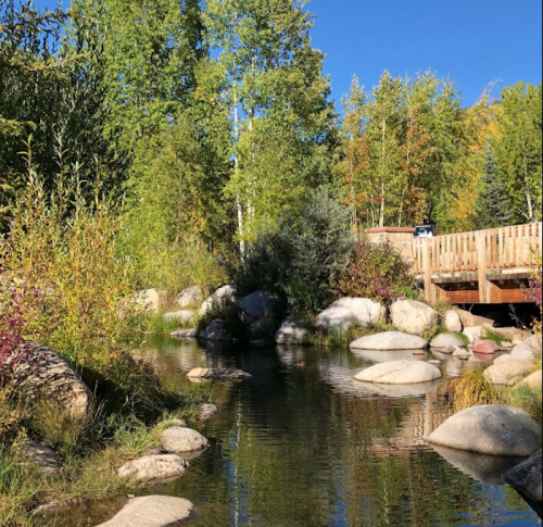 A serene stream flows through a lush landscape with rocks and trees, under a clear blue sky. A wooden bridge is visible.