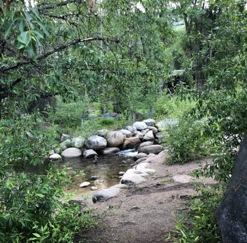 A serene natural scene featuring a small stream surrounded by rocks and lush greenery.