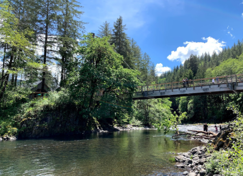A wooden bridge spans a river surrounded by lush green trees and mountains under a bright blue sky.