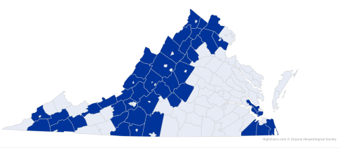 Map of Virginia highlighting counties in dark blue, indicating specific data or regions of interest.