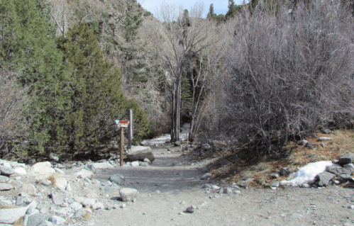 A rocky trail leads through sparse trees and shrubs, with a signpost indicating directions in a natural setting.
