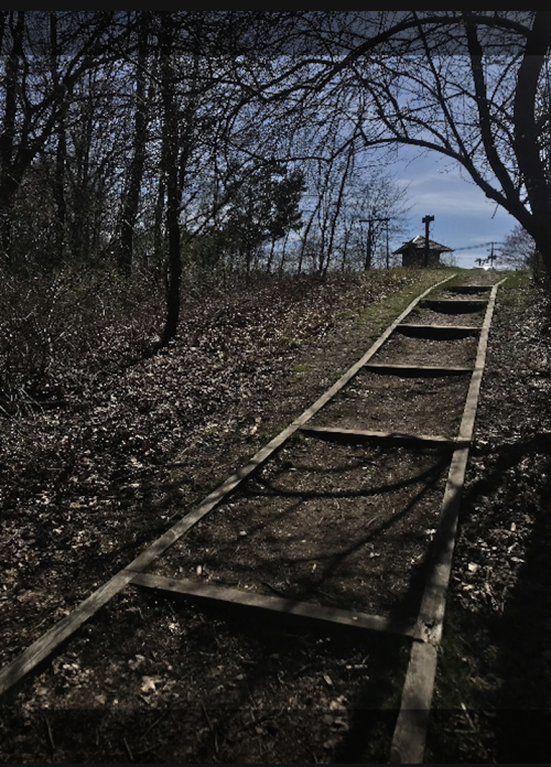 A wooden path leads up a hill through a wooded area, with a building visible at the top under a clear blue sky.