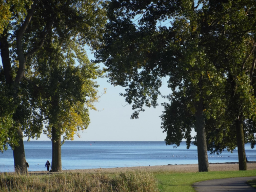 A serene beach scene framed by trees, with calm water and a person walking along the shore in the distance.