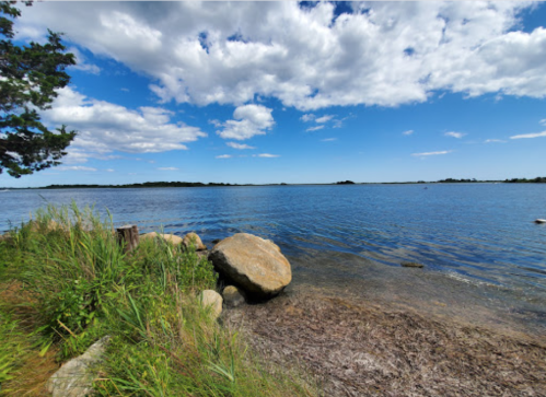 A serene lakeside view with clear blue water, green grass, and fluffy clouds in a bright sky.