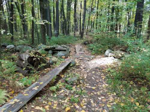 A forest path with wooden planks, surrounded by trees and scattered rocks, covered in fallen leaves.