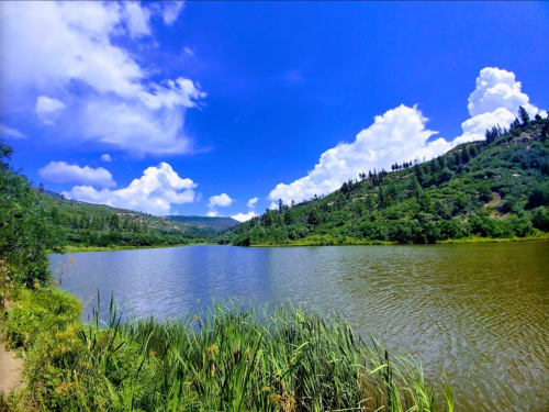 A serene lake surrounded by lush greenery and hills under a bright blue sky with fluffy white clouds.