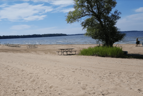 A sandy beach with picnic tables, a tree, and a calm lake under a blue sky with scattered clouds.