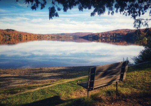 A serene lake view with autumn foliage, featuring a bench by the water's edge under a clear blue sky.