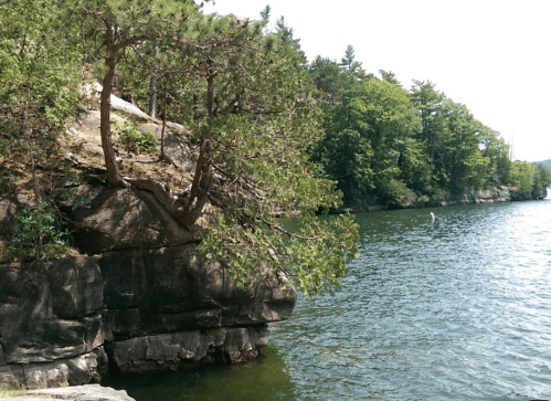 A rocky shoreline with a tree overhanging a calm, green lake surrounded by lush greenery and distant hills.