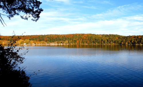 A serene lake surrounded by trees displaying vibrant autumn colors under a clear blue sky.