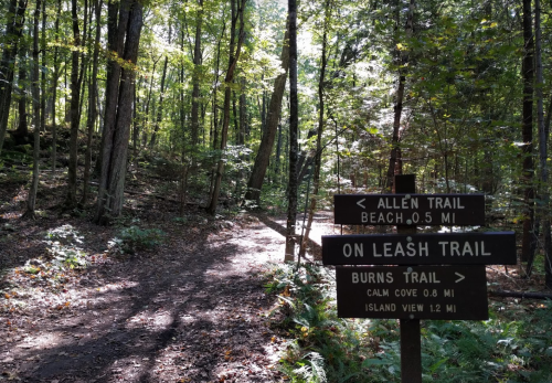 Wooded trail with directional signs for Allen Trail, On Leash Trail, and Burns Trail, surrounded by trees and sunlight.