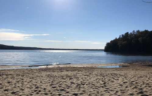 A serene lake view with a sandy shore, surrounded by trees under a clear blue sky and bright sunlight.