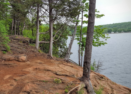 A rocky shoreline with trees beside a calm lake, surrounded by lush greenery and a cloudy sky.