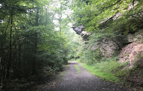 A narrow path winds through lush greenery, flanked by rocky cliffs and trees in a serene forest setting.