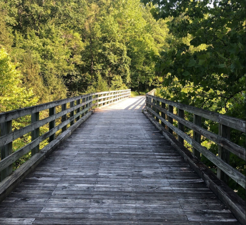 A wooden bridge stretches into a lush green landscape, surrounded by trees under bright sunlight.