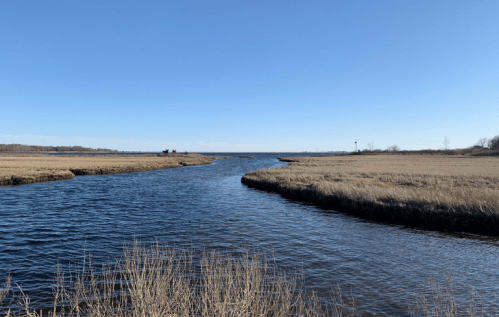 A serene river winding through grassy fields under a clear blue sky.