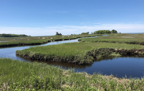 A serene landscape featuring a winding stream through lush green marshland under a clear blue sky.