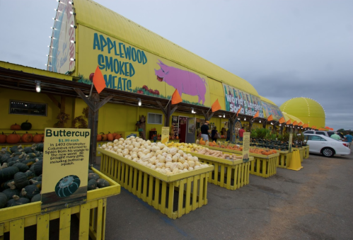 Colorful market stand with various pumpkins and squash, featuring a bright yellow building and a pig mural in the background.