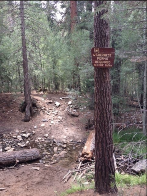 A wooden sign on a tree in a forest, stating "Wilderness Permit Required Before Entry," near a rocky stream.